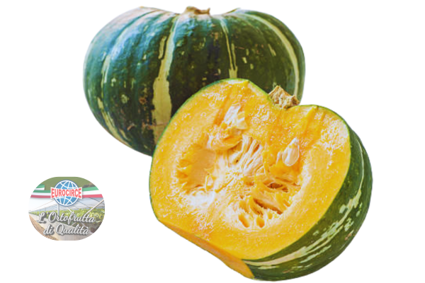 Zucca Kabocha
