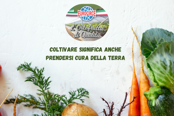 Agricoltura sostenibile: responsabilità, controllo e certificazione