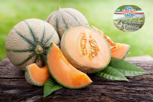 Inizio campagna melone: dalla raccolta alla consegna