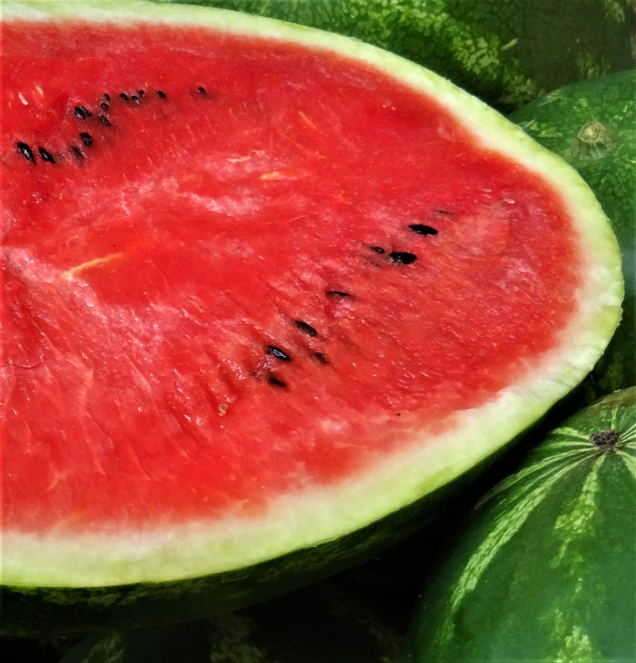 Anguria, la frutta dell’ estate
