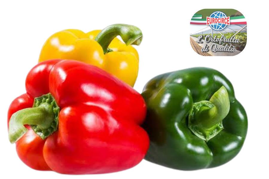 Blog-Conferimento peperoni Peperoni Eurocirce